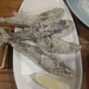 ヒメ日記 2025/09/21 08:45 投稿 みよ姫 螢