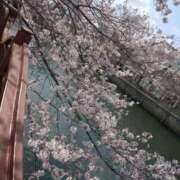 ヒメ日記 2026/04/18 14:30 投稿 みよ姫 螢