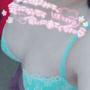 ヒメ日記 2025/03/01 18:58 投稿 せり 木更津人妻花壇