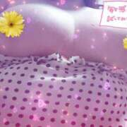 ヒメ日記 2025/09/12 21:07 投稿 せり 木更津人妻花壇