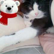 ヒメ日記 2024/12/21 10:04 投稿 かおり 素人妻御奉仕倶楽部Hip's松戸店