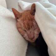 ヒメ日記 2025/01/08 09:14 投稿 かおり 素人妻御奉仕倶楽部Hip's松戸店