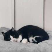 ヒメ日記 2025/01/20 01:07 投稿 かおり 素人妻御奉仕倶楽部Hip's松戸店