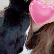 ヒメ日記 2025/01/25 11:37 投稿 かおり 素人妻御奉仕倶楽部Hip's松戸店