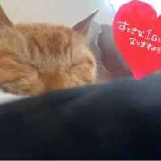 ヒメ日記 2025/02/17 16:23 投稿 かおり 素人妻御奉仕倶楽部Hip's松戸店