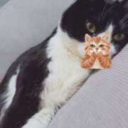 ヒメ日記 2025/02/21 09:47 投稿 かおり 素人妻御奉仕倶楽部Hip's松戸店