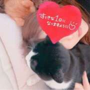 ヒメ日記 2025/02/22 10:22 投稿 かおり 素人妻御奉仕倶楽部Hip's松戸店