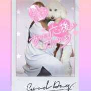 ヒメ日記 2025/03/14 20:42 投稿 かおり 素人妻御奉仕倶楽部Hip's松戸店