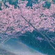 ヒメ日記 2025/03/21 17:28 投稿 かおり 素人妻御奉仕倶楽部Hip's松戸店