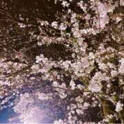 ヒメ日記 2025/04/05 22:08 投稿 かおり 素人妻御奉仕倶楽部Hip's松戸店