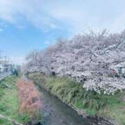 ヒメ日記 2025/04/08 10:44 投稿 かおり 素人妻御奉仕倶楽部Hip's松戸店