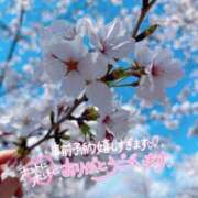 ヒメ日記 2025/04/09 17:48 投稿 かおり 素人妻御奉仕倶楽部Hip's松戸店