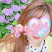 ヒメ日記 2025/04/12 23:26 投稿 かおり 素人妻御奉仕倶楽部Hip's松戸店