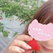 ヒメ日記 2025/04/15 16:46 投稿 かおり 素人妻御奉仕倶楽部Hip's松戸店