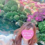 ヒメ日記 2025/05/01 10:26 投稿 かおり 素人妻御奉仕倶楽部Hip's松戸店