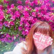 ヒメ日記 2025/05/01 10:46 投稿 かおり 素人妻御奉仕倶楽部Hip's松戸店