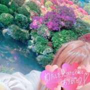 ヒメ日記 2025/05/02 11:16 投稿 かおり 素人妻御奉仕倶楽部Hip's松戸店