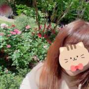 ヒメ日記 2025/05/12 13:16 投稿 かおり 素人妻御奉仕倶楽部Hip's松戸店