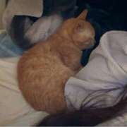 ヒメ日記 2025/05/16 06:22 投稿 かおり 素人妻御奉仕倶楽部Hip's松戸店