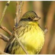 ヒメ日記 2025/05/16 10:03 投稿 かおり 素人妻御奉仕倶楽部Hip's松戸店