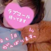 ヒメ日記 2025/05/24 12:20 投稿 かおり 素人妻御奉仕倶楽部Hip's松戸店