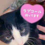 ヒメ日記 2025/05/29 01:05 投稿 かおり 素人妻御奉仕倶楽部Hip's松戸店