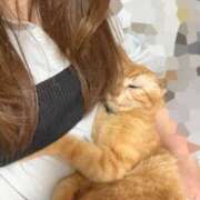 ヒメ日記 2025/05/30 00:45 投稿 かおり 素人妻御奉仕倶楽部Hip's松戸店