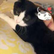 ヒメ日記 2025/06/09 10:52 投稿 かおり 素人妻御奉仕倶楽部Hip's松戸店