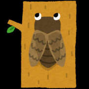 ヒメ日記 2025/08/19 22:37 投稿 かおり 素人妻御奉仕倶楽部Hip's松戸店