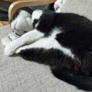 ヒメ日記 2025/08/20 02:17 投稿 かおり 素人妻御奉仕倶楽部Hip's松戸店