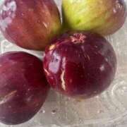 ヒメ日記 2025/09/26 15:29 投稿 かおり 素人妻御奉仕倶楽部Hip's松戸店