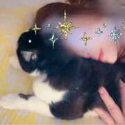 ヒメ日記 2025/09/27 04:09 投稿 かおり 素人妻御奉仕倶楽部Hip's松戸店