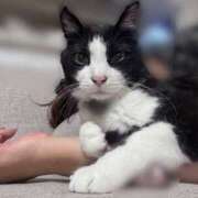 ヒメ日記 2025/10/01 04:49 投稿 かおり 素人妻御奉仕倶楽部Hip's松戸店