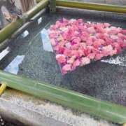 ヒメ日記 2025/10/24 12:10 投稿 かおり 素人妻御奉仕倶楽部Hip's松戸店