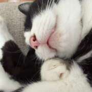 ヒメ日記 2025/11/06 23:29 投稿 かおり 素人妻御奉仕倶楽部Hip's松戸店