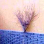 ヒメ日記 2025/12/28 21:29 投稿 かおり 素人妻御奉仕倶楽部Hip's松戸店