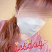 かおり えっほえっほ 素人妻御奉仕倶楽部Hip's松戸店