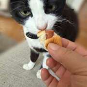 ヒメ日記 2026/01/24 23:39 投稿 かおり 素人妻御奉仕倶楽部Hip's松戸店