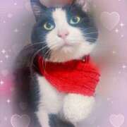 ヒメ日記 2026/02/01 09:09 投稿 かおり 素人妻御奉仕倶楽部Hip's松戸店