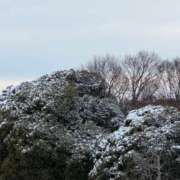 ヒメ日記 2026/02/08 15:29 投稿 かおり 素人妻御奉仕倶楽部Hip's松戸店