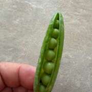 ヒメ日記 2026/03/03 17:59 投稿 かおり 素人妻御奉仕倶楽部Hip's松戸店