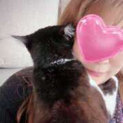 ヒメ日記 2026/04/16 11:54 投稿 かおり 素人妻御奉仕倶楽部Hip's松戸店