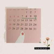 ヒメ日記 2025/05/01 13:10 投稿 つばき 新宿・新大久保おかあさん