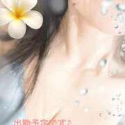 つばき 雨はどうなる？☔️ 新宿・新大久保おかあさん