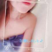 つばき 本日晴天🌞 新宿・新大久保おかあさん