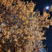 ヒメ日記 2025/04/13 09:32 投稿 はる スイカ