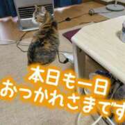 ヒメ日記 2025/05/24 21:18 投稿 もか モアグループ南越谷人妻花壇