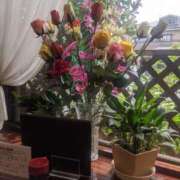 ヒメ日記 2025/07/11 18:09 投稿 もか モアグループ南越谷人妻花壇