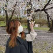 ヒメ日記 2026/04/12 12:36 投稿 もか モアグループ南越谷人妻花壇