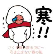 ヒメ日記 2025/04/15 11:30 投稿 大塚かずみ 大阪ぽっちゃり妻